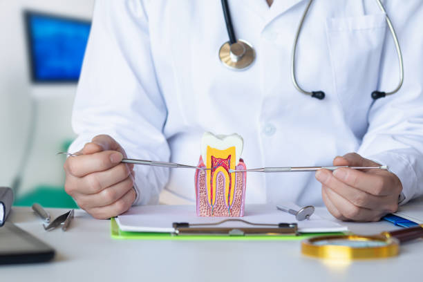 Best Emergency Broken Tooth Repair in Circle D Kc Estates, TX